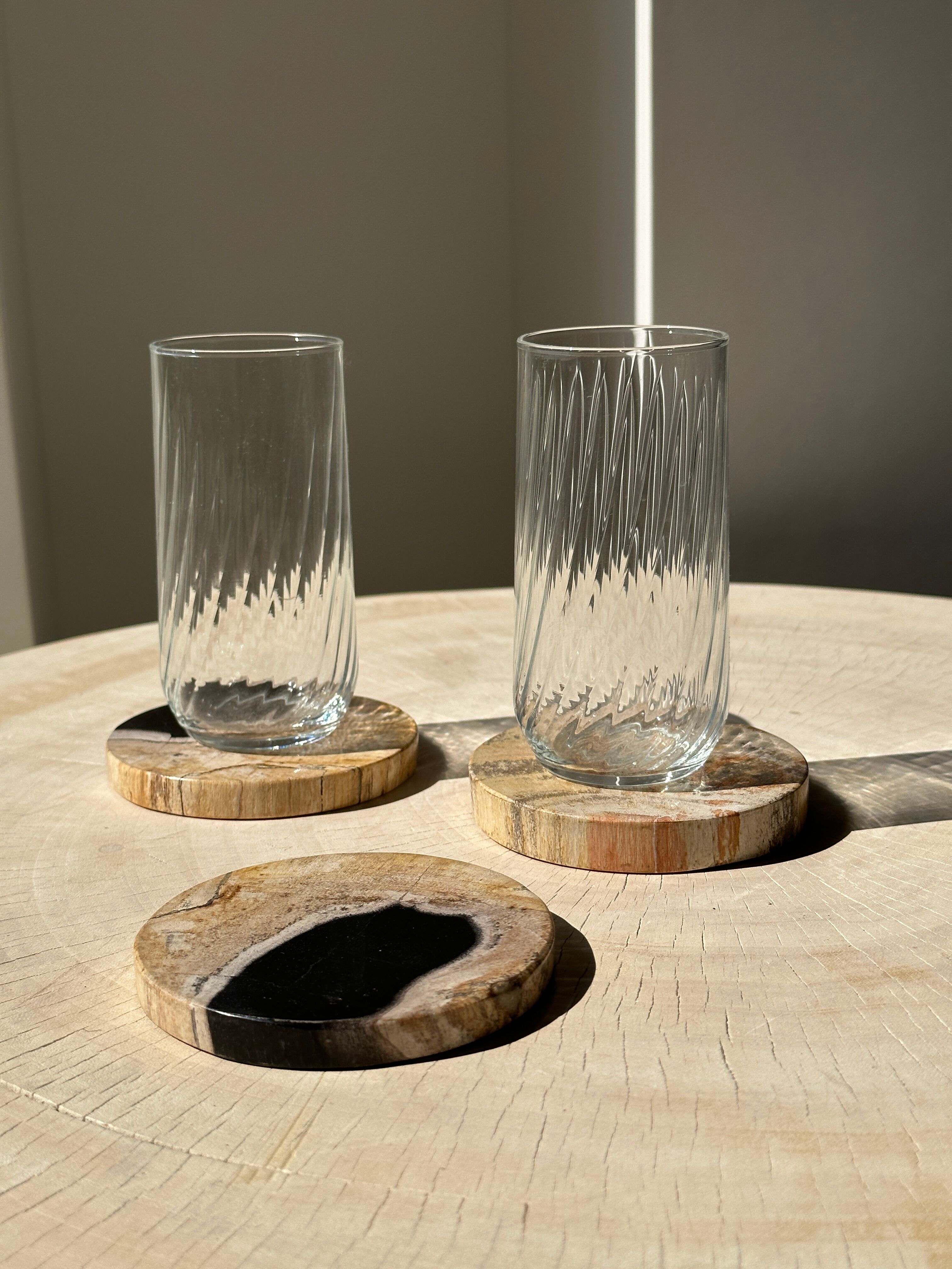 Set of 3 fossilized wooden coasters (clear)