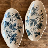 Empty pocket Boutras iron earth