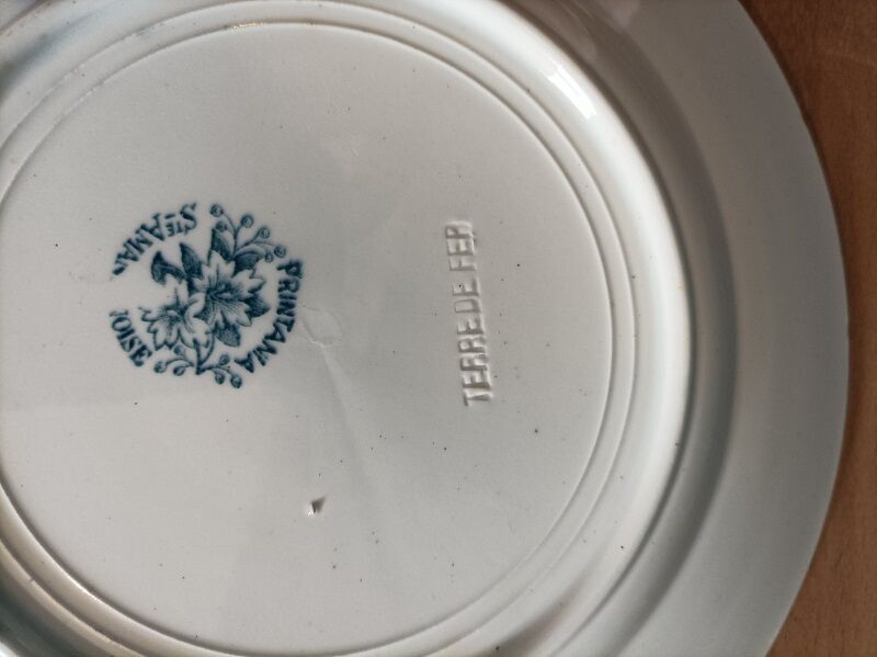 Plate Plate iron earth Printania dp 0323104