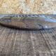 Ancient Fossil Orthoceras Polished Paperweight Vintage #D985
