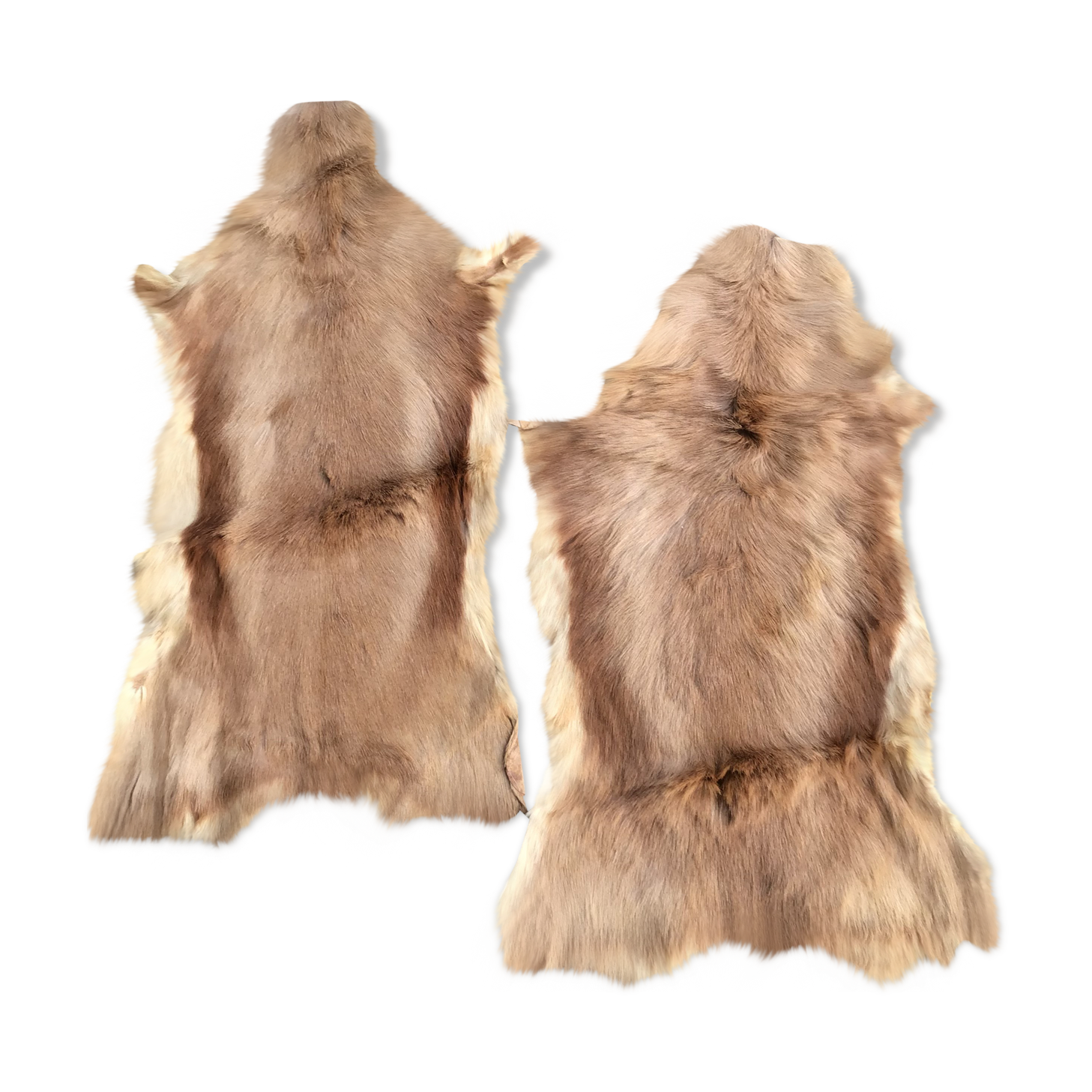 Set of 2 beige goat skins