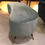 Bench in Velvet bean