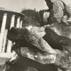 Old black and white silver photography early twentieth century