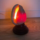 Shell lamp