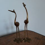 Herons or brass wader birds