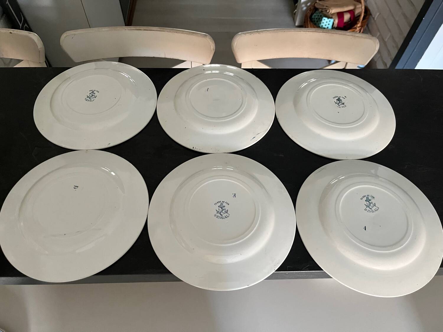 Léon Graves iron earth plates