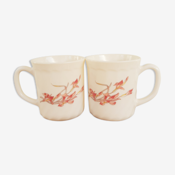 Duo de mugs arcopal motifs fleurs Iris vintage