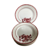 Series of 8 flat plates