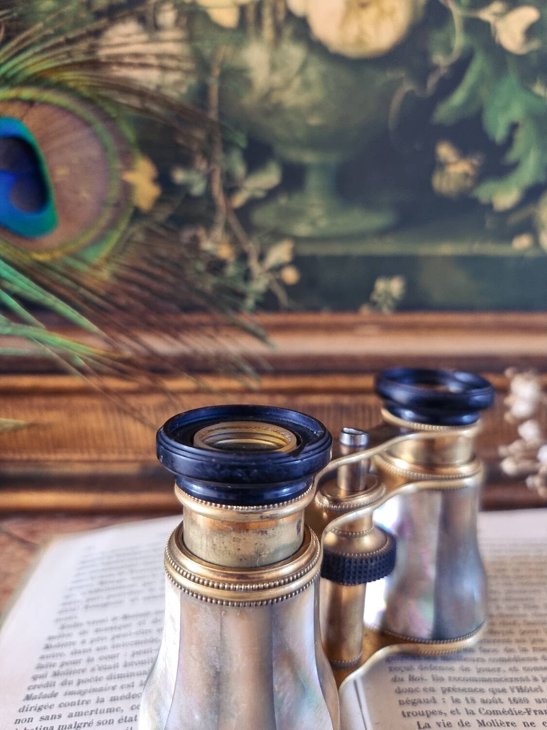 Theater binoculars in mother-of-pearl and brass, 19th century