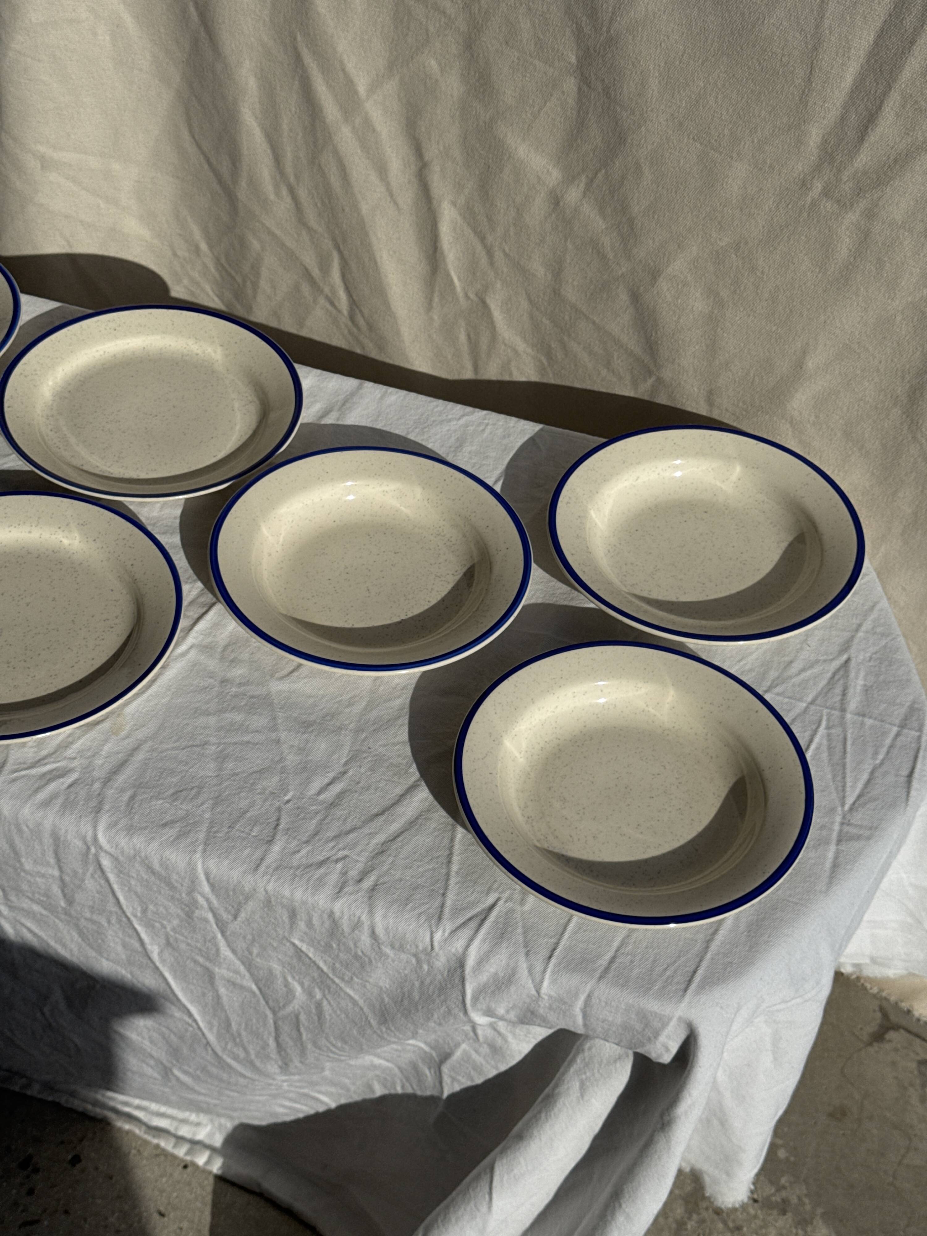 Set consisting of 6 beige flat plates with a blue rim + 3 deep plates.