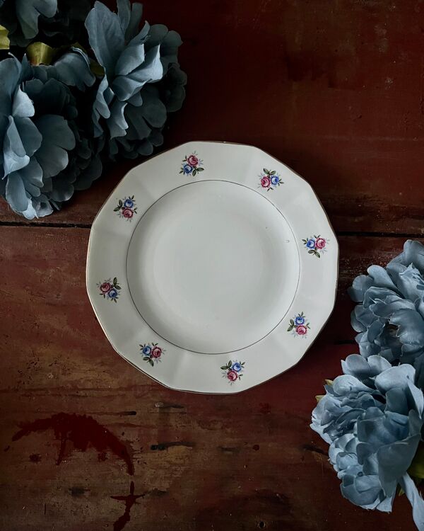 Assiettes et plat en véritable opaque Digoin Sarreguemines