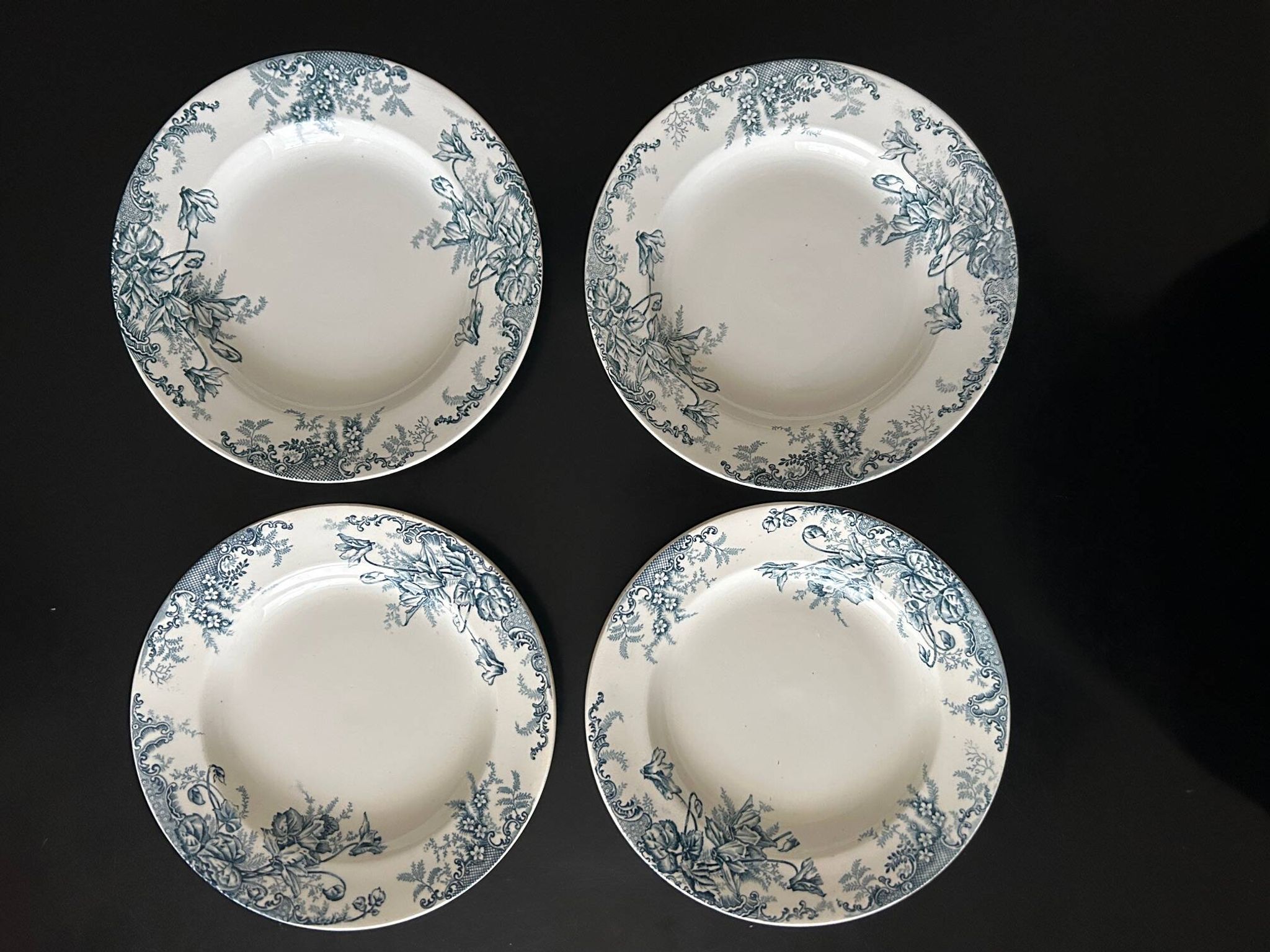13 deep plates Terre de fer Cyclamens Louis Graves