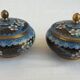 2 partitioned covered pots