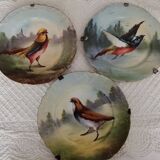 Set of 3 Limoges bird wall plates early 20th century
