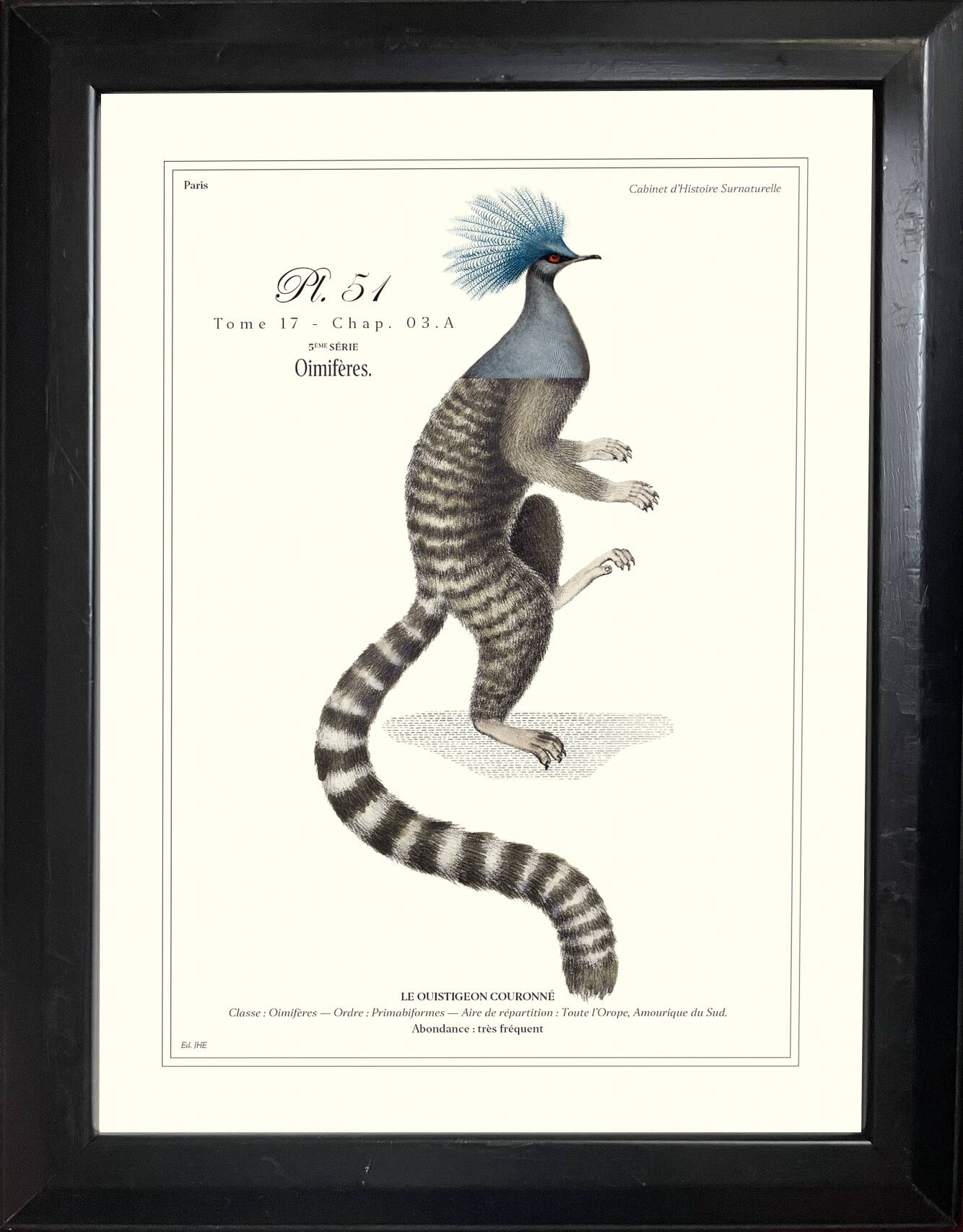 Lithograph engraving chimera animal, the cariapocampus 22x28 cm