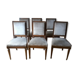 Velvet chairs from the years 1950