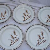 10 Hollow plates wheat pattern - gold edged - pl -porcelain vintage