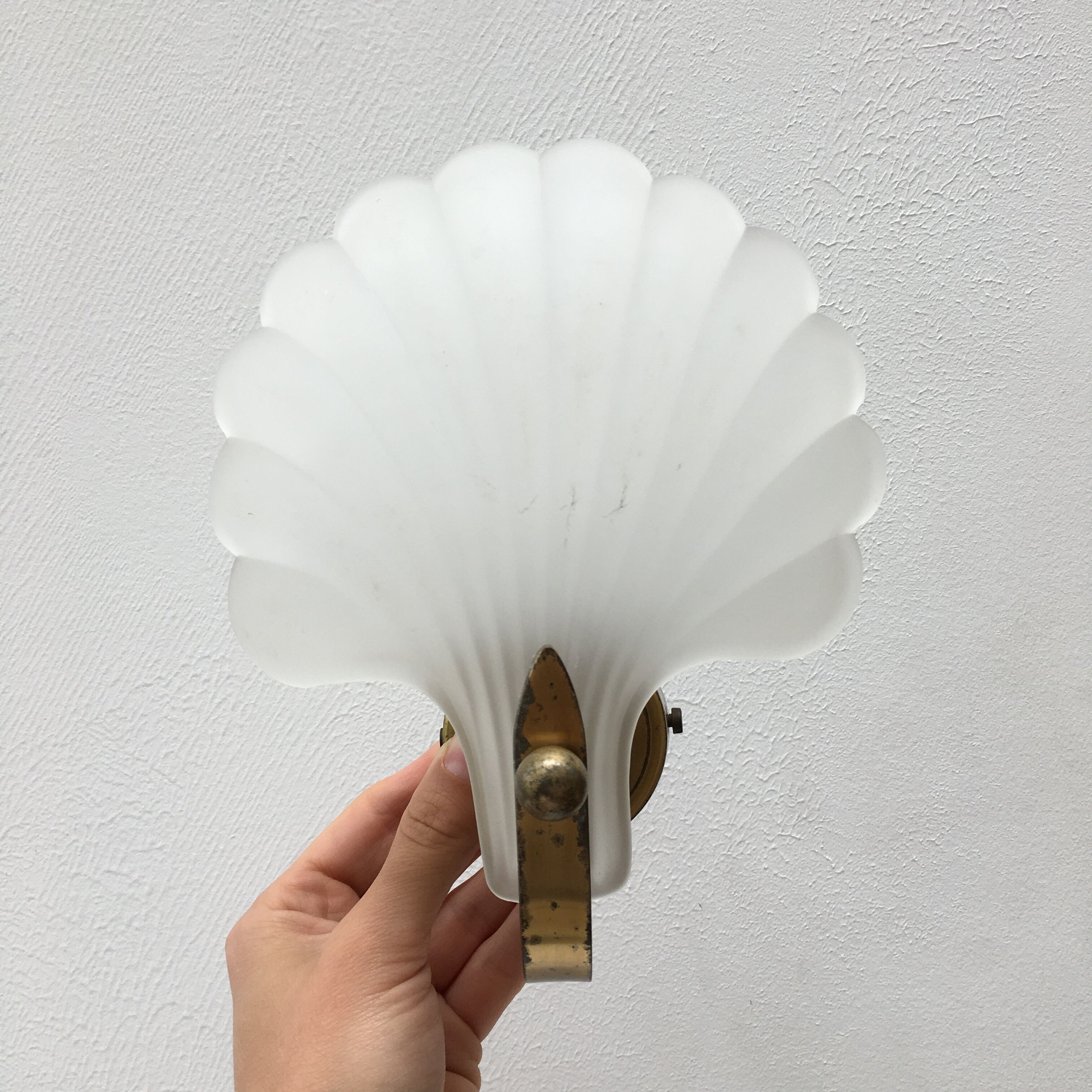 Shell wall lamp 70s Deknudt