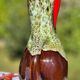Vase Amphore Vintage Style Vallauris