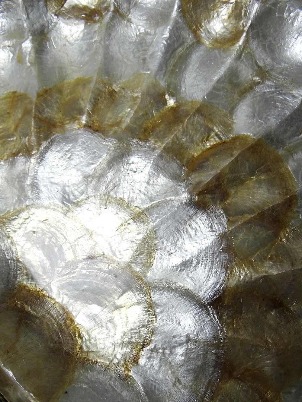 Large platter or shell-shaped catchall in capiz mother-of-pearl and vintage brass.