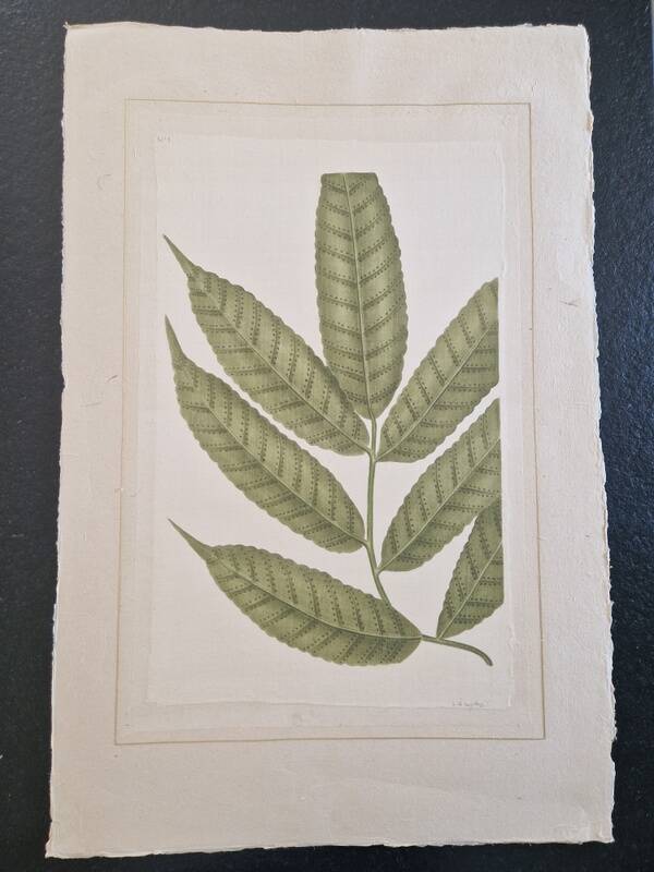 La Roche Laffitte (Born in 1943) - Watercolour drawing on silk - Ash
