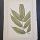La Roche Laffitte (Born in 1943) - Watercolour drawing on silk - Ash