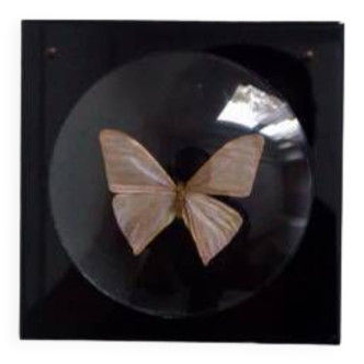 Butterfly frame under curved glass