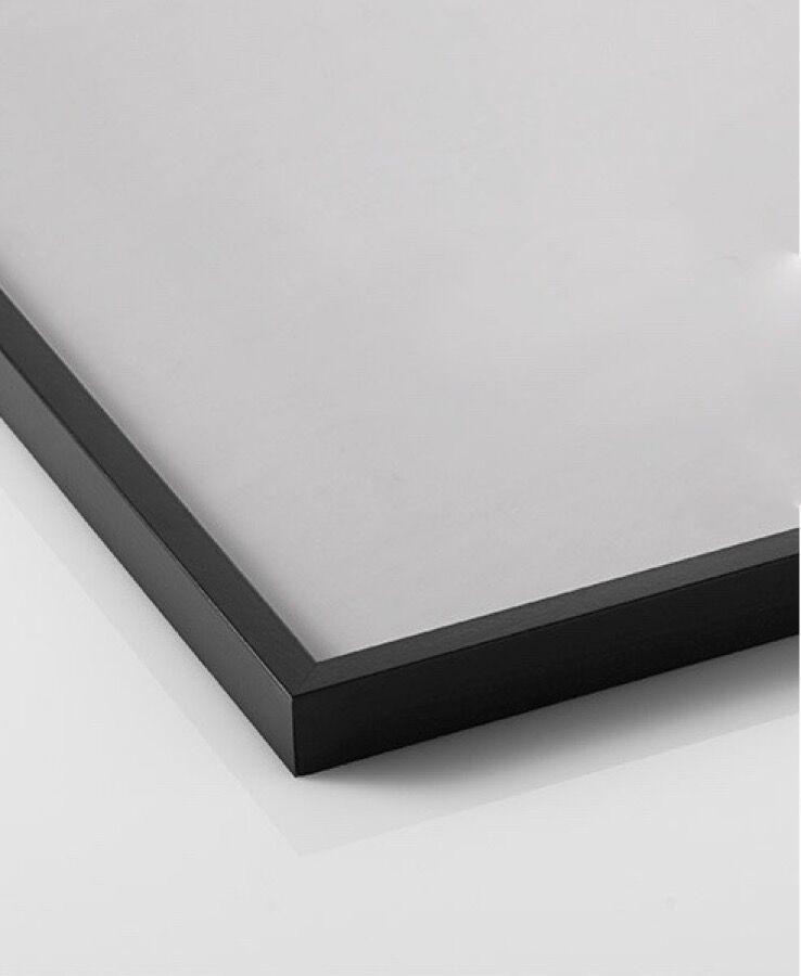 Original poster by Alexander Calder