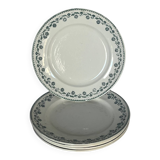 Georgette Iron Earth Plates