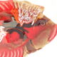 Vintage fish ceramic Vallauris
