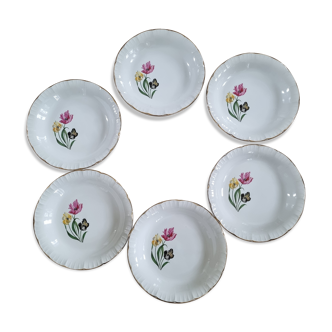 Lot 6 assiettes vintage sarreguemines digouin modèle Tulipes