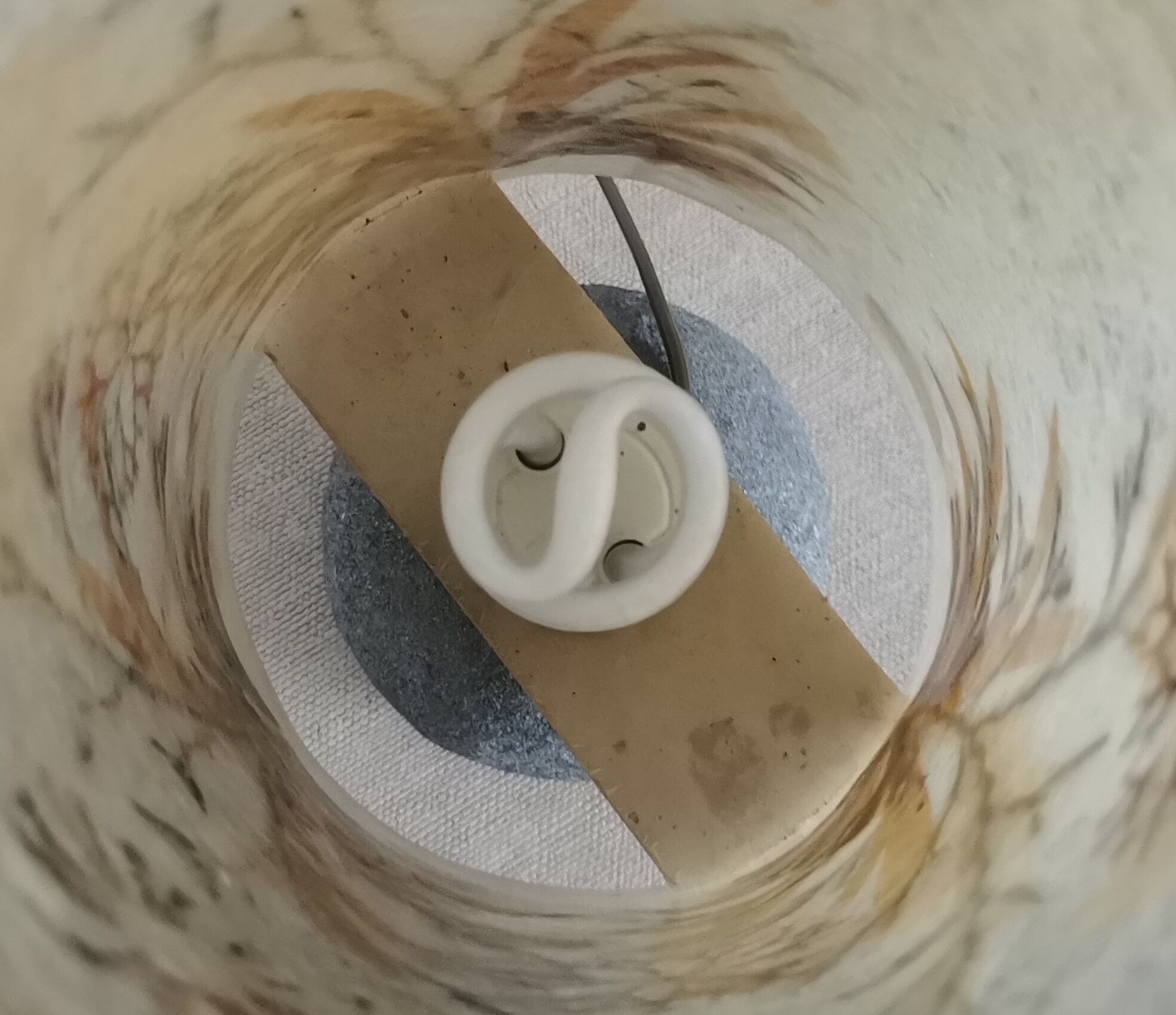 Stone and seaweed herbarium lamp