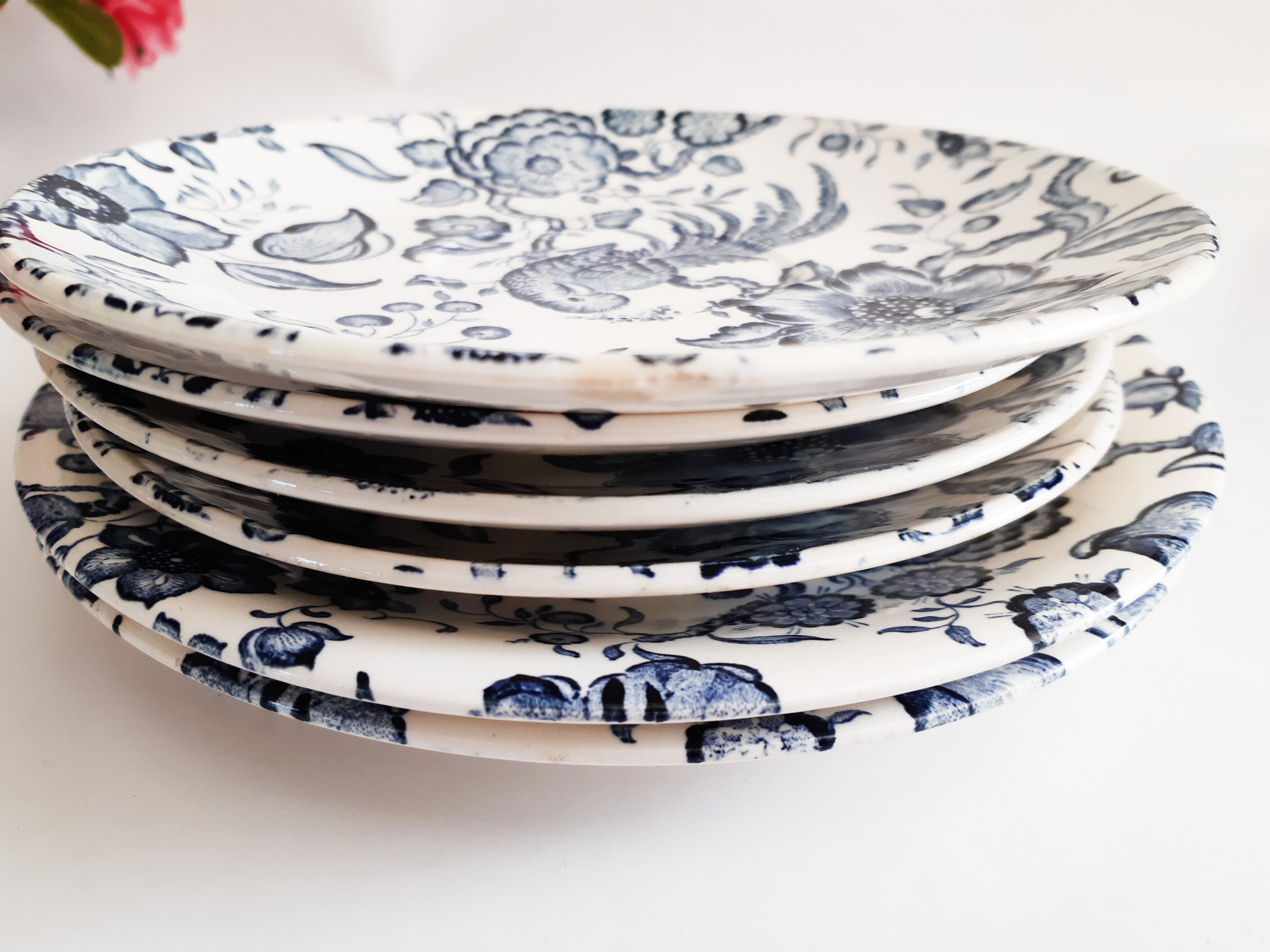 Villeroy and Boch Plates model Paradiso