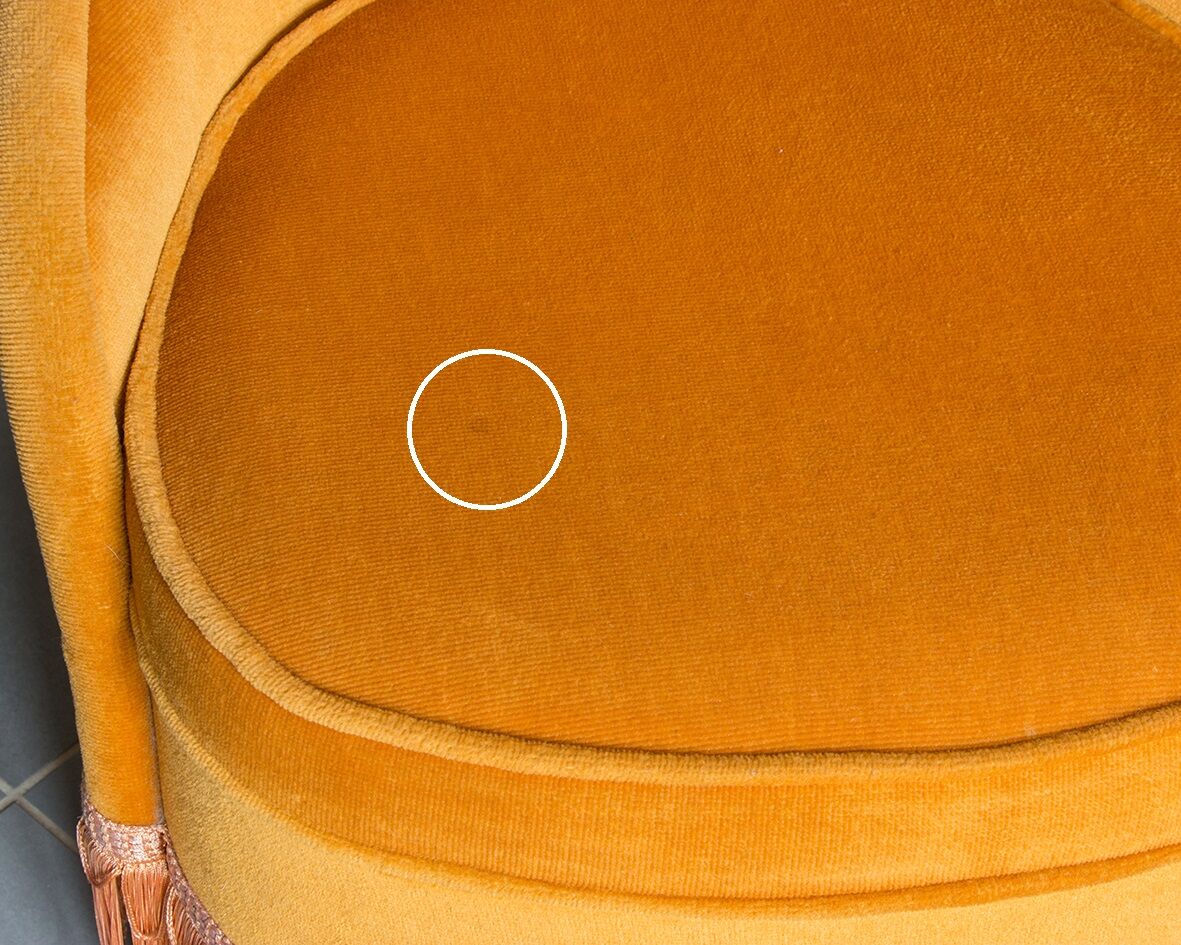 Apricot toad armchair