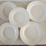 1 dish and 5 plates iron earth cream patina