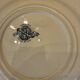 Plate with Flowers Gien