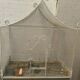 Cage has birds on trolley wheeled wrought iron volière 20th century