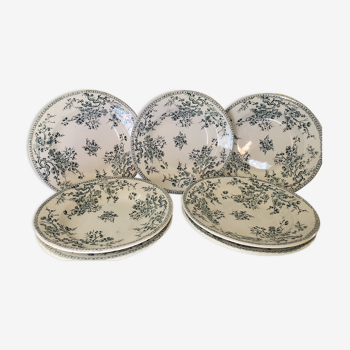 Set of 5 Hollow plates and 3 flat ceramic plates