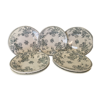 Set of 5 Hollow plates and 3 flat ceramic plates