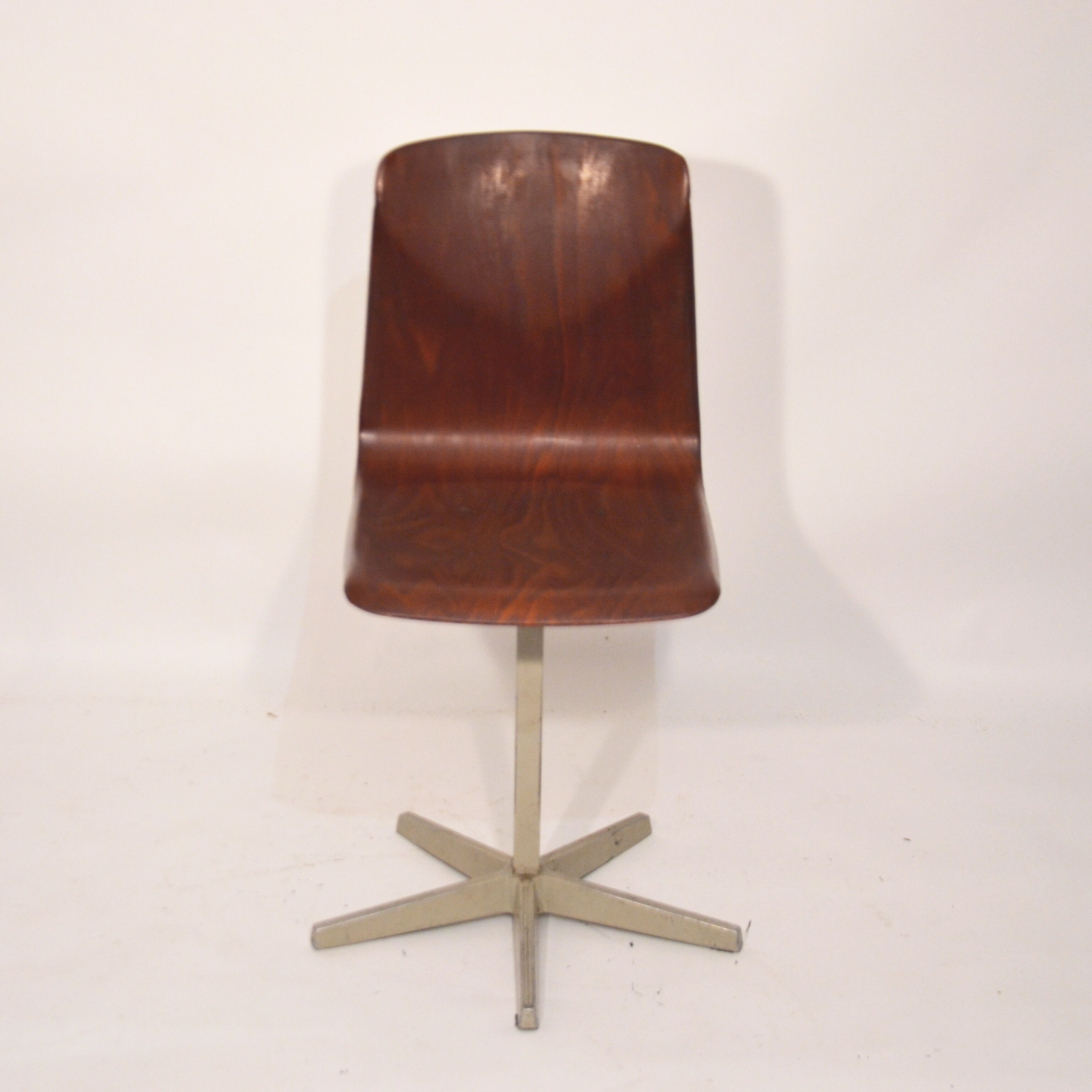 Pagholz grey star foot chair