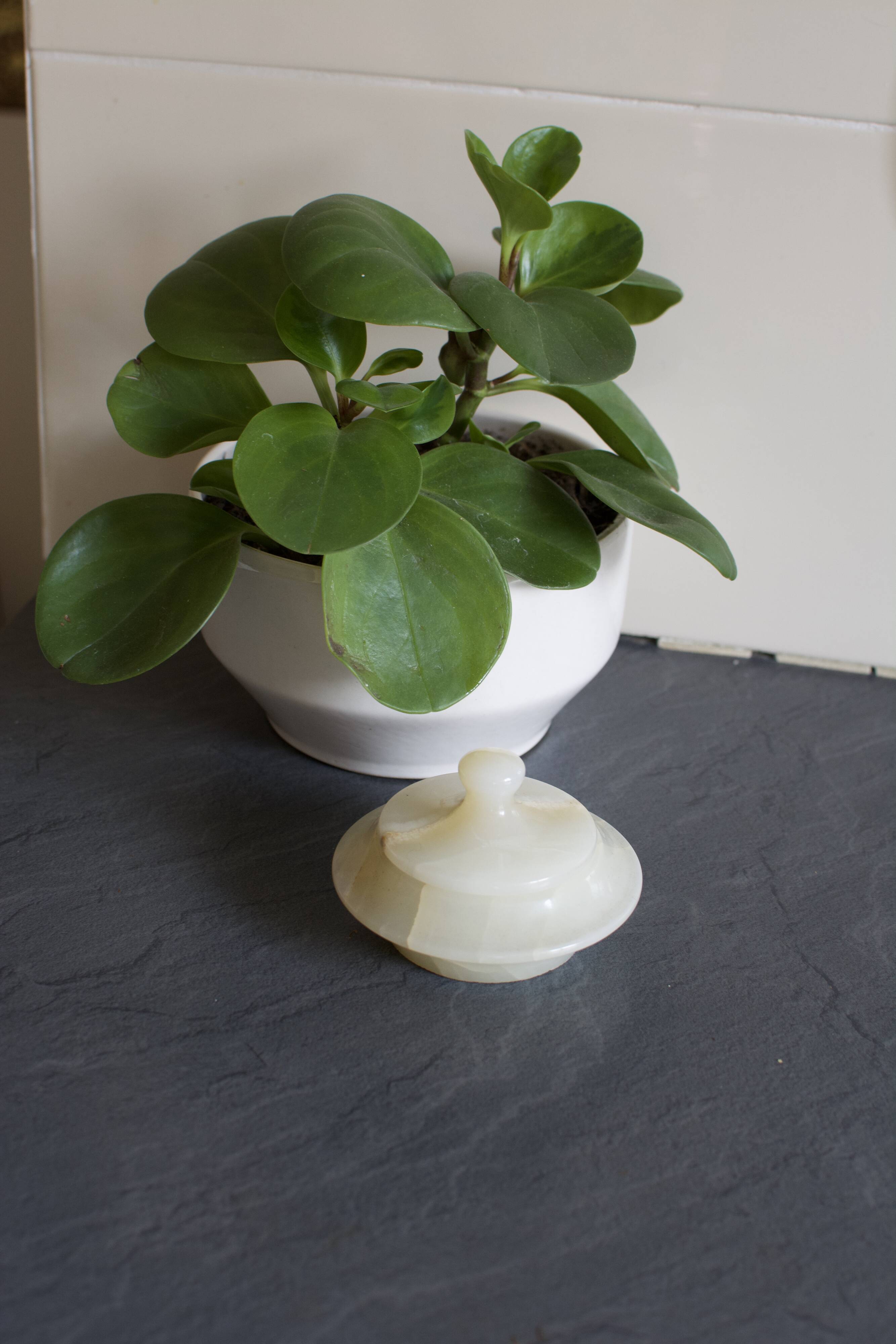 Vintage white marble round box