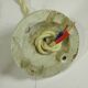 SUSPENSION and rose in OPALINE and PORCELAIN