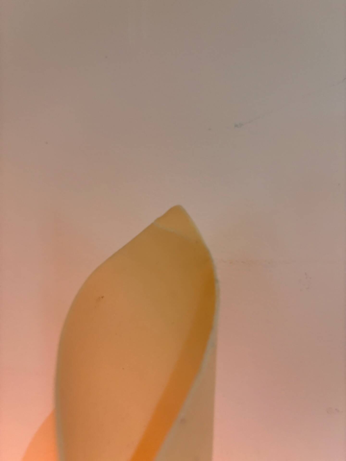 Georgia Jacob Corolle XXL lamp