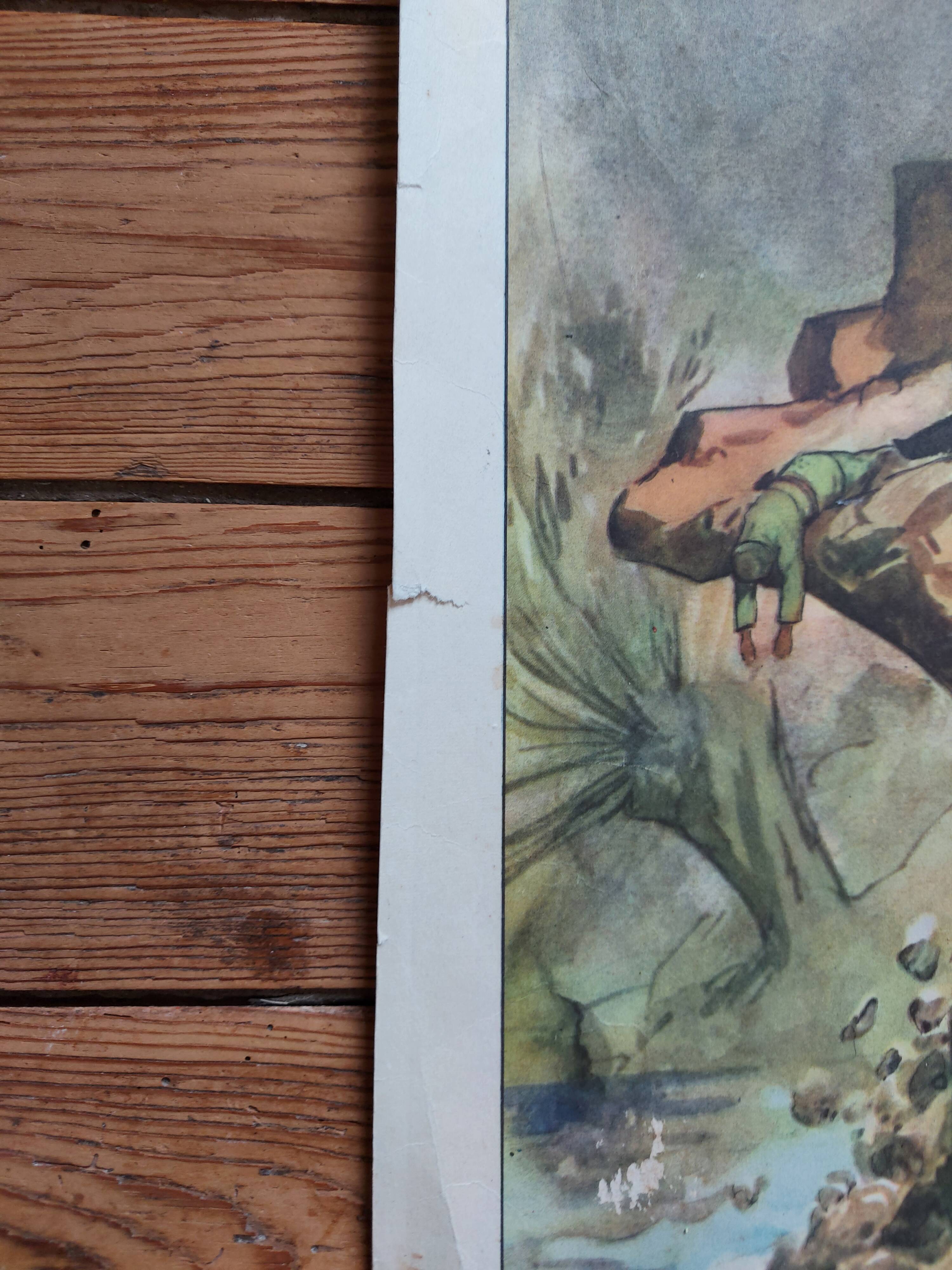 Rossignol / montmorillon educational poster