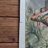 Rossignol / montmorillon educational poster