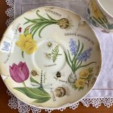 Déjeuner (tasse/sous tasse) porcelaine anglaise