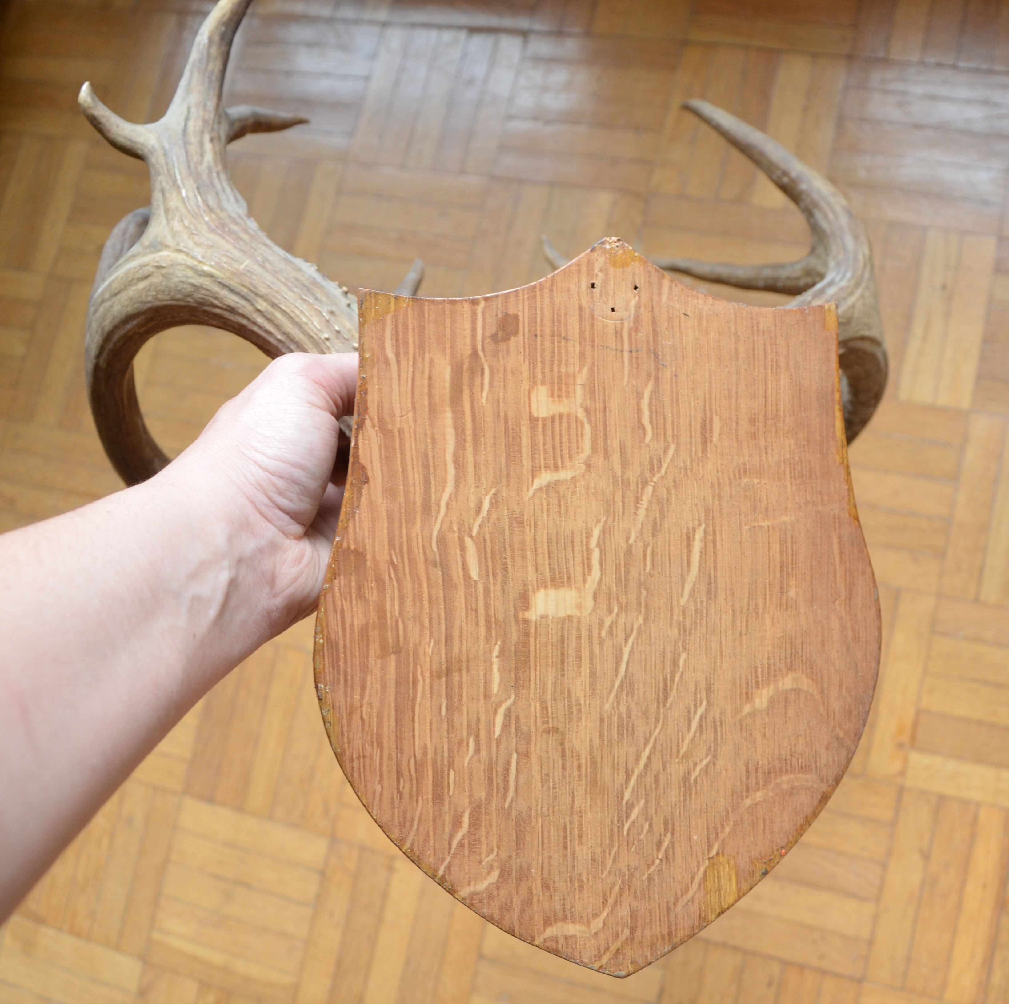 Virginia deer massacre