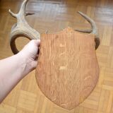 Virginia deer massacre