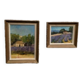 Paintings, oil on canvas "Lavender"