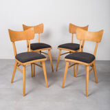 Set of 4 Dining Chairs, 1960s, Czechoslovakia, Midcentury, Reupholstered